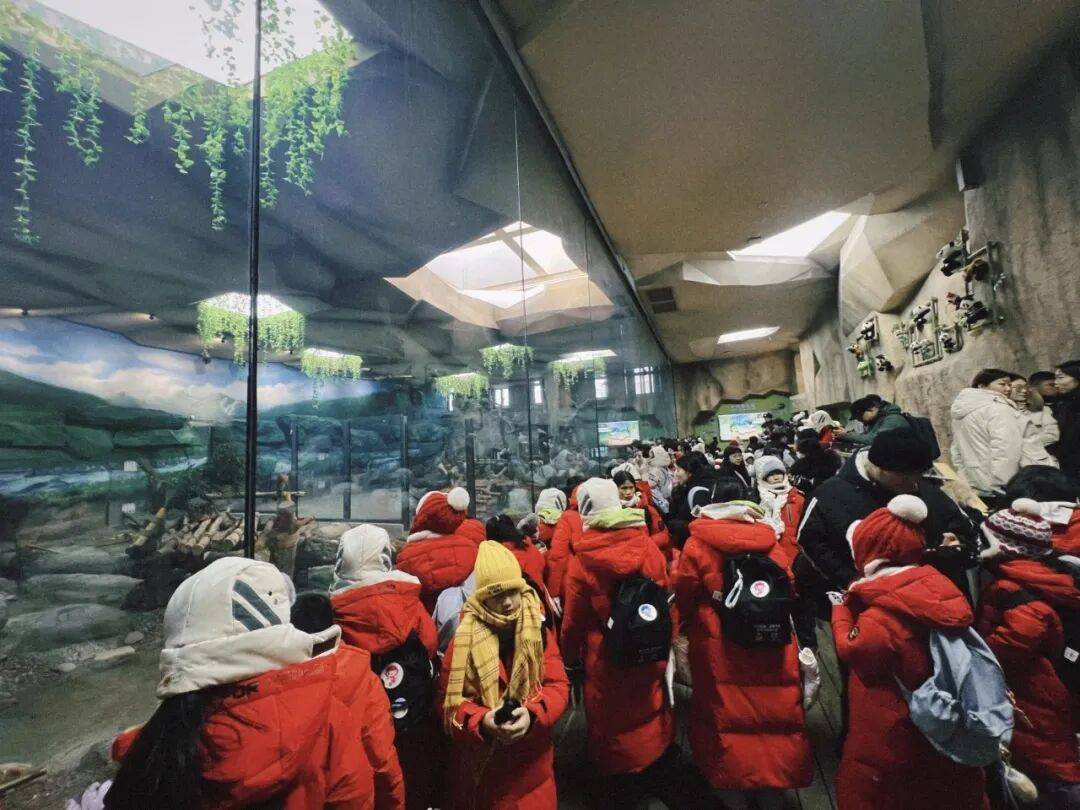 尔滨冰雪童话节走进太阳岛雪博会新葡京娱乐