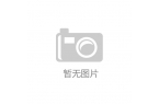 蛋“AI+儿童”三大系列产品亮相新葡京网